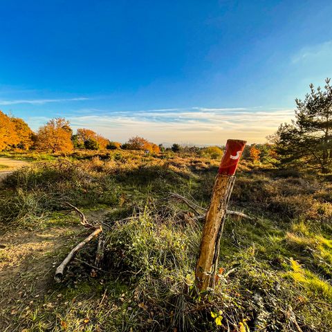 Wahner Heide